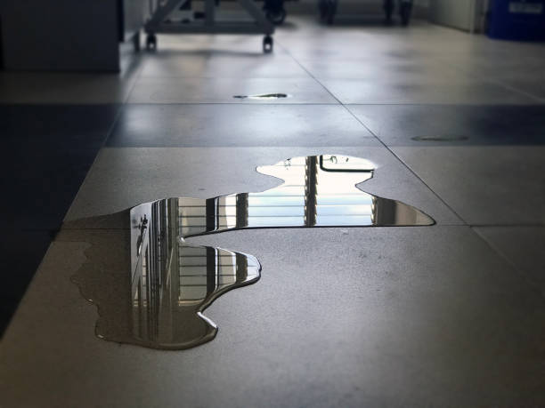 Best Water damage restoration experts  in Edgewater, NJ