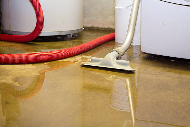 Best Water damage restoration near me  in Edgewater, NJ