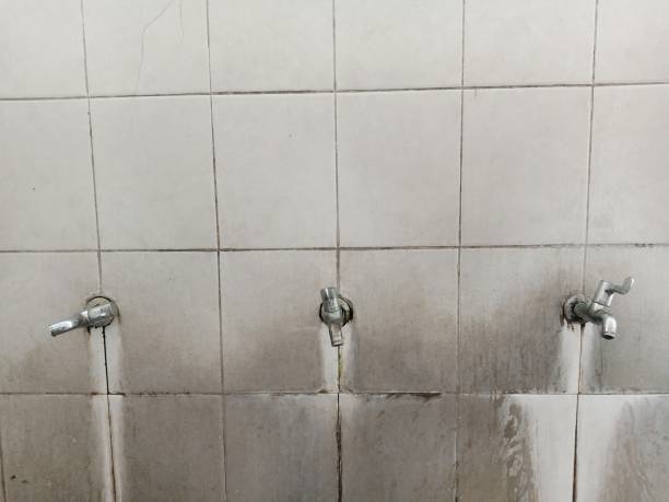 Best Water damage mitigation services  in Edgewater, NJ