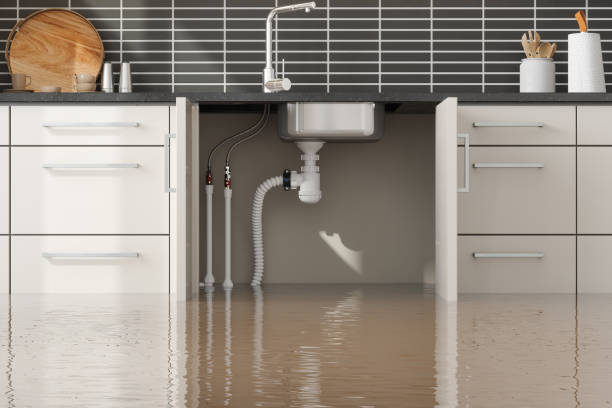 Best Flood damage cleanup  in Edgewater, NJ