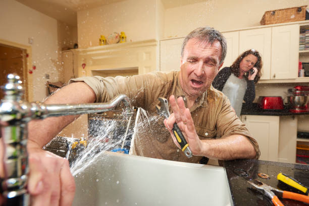Best Basement water damage restoration  in Edgewater, NJ